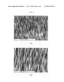 Anti-Reflection Structure Body, Method Of Producing The Same And Method Of Producing Optical Member diagram and image