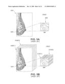 SYSTEM AND METHOD FOR ASSESSING CANCER RISK diagram and image