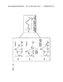 COORDINATION AND COMBINATION OF VIDEO SEQUENCES WITH SPATIAL AND TEMPORAL NORMALIZATION diagram and image