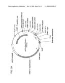 Fusion molecules and IL-15 variants diagram and image