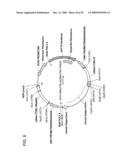 Fusion molecules and IL-15 variants diagram and image