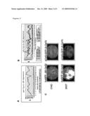 Method for modulating gene expression by modifying the cpg content diagram and image