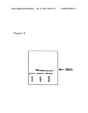 Method for modulating gene expression by modifying the cpg content diagram and image