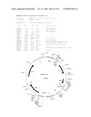 Defensin Proteins diagram and image