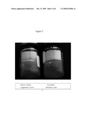 LYOPHILIZATION CYCLE ROBUSTNESS STRATEGY diagram and image