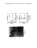 METHOD FOR THE TREATMENT OF INFLAMMATORY DISORDERS diagram and image