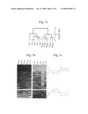 Therapeutic Transplantation Using Developing, Human or Porcine, Renal or Hepatic, Grafts diagram and image