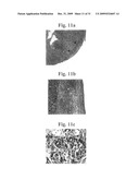 Therapeutic Transplantation Using Developing, Human or Porcine, Renal or Hepatic, Grafts diagram and image