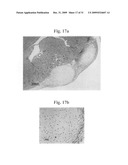 Therapeutic Transplantation Using Developing, Human or Porcine, Renal or Hepatic, Grafts diagram and image