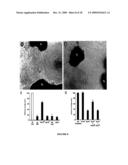 MODULATING NEURONAL OUTGROWTH VIA THE MAJOR HISTOCOMPATIBILITY COMPLEX CLASS I (MHC I) MOLECULE diagram and image