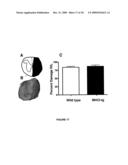 MODULATING NEURONAL OUTGROWTH VIA THE MAJOR HISTOCOMPATIBILITY COMPLEX CLASS I (MHC I) MOLECULE diagram and image