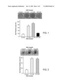 OSTEOGENIC ENHANCER COMPOSITION diagram and image