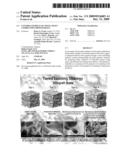 CONTROLLED RELEASE TISSUE GRAFT COMBINATION BIOMATERIALS diagram and image