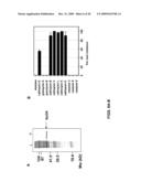 METHODS AND COMPOSITIONS FOR THE INHIBITION OF CATHEPSINS diagram and image