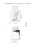 METHODS AND COMPOSITIONS FOR THE INHIBITION OF CATHEPSINS diagram and image