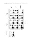 METHODS AND COMPOSITIONS FOR THE INHIBITION OF CATHEPSINS diagram and image