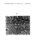 NANOEMULSION diagram and image