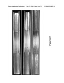 Method for Depositing an Aluminum Nitride Coating onto Solid Substrates diagram and image