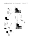 MOLECULARLY IMPRINTED POLYMERS FOR DETECTING MICROORGANISMS diagram and image