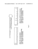 Pyrosequencing Methods and Related Compositions diagram and image
