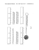 Pyrosequencing Methods and Related Compositions diagram and image