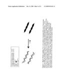 Recombinase polymerase amplification diagram and image