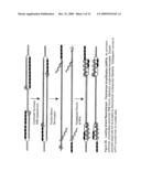 Recombinase polymerase amplification diagram and image