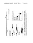 Recombinase polymerase amplification diagram and image