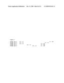 Recombinase polymerase amplification diagram and image