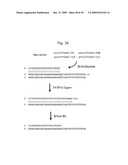 RNASE H-BASED ASSAYS UTILIZING MODIFIED RNA MONOMERS diagram and image