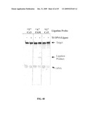 RNASE H-BASED ASSAYS UTILIZING MODIFIED RNA MONOMERS diagram and image