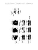 Methods for Developing and Assessing Therapeutic Agents diagram and image