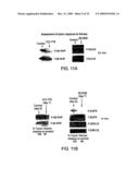 Methods for Developing and Assessing Therapeutic Agents diagram and image