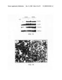 Methods for Developing and Assessing Therapeutic Agents diagram and image