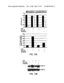 Methods for Developing and Assessing Therapeutic Agents diagram and image