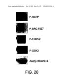 Methods for Developing and Assessing Therapeutic Agents diagram and image