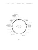 Ethanolamine Production by Fermentation diagram and image