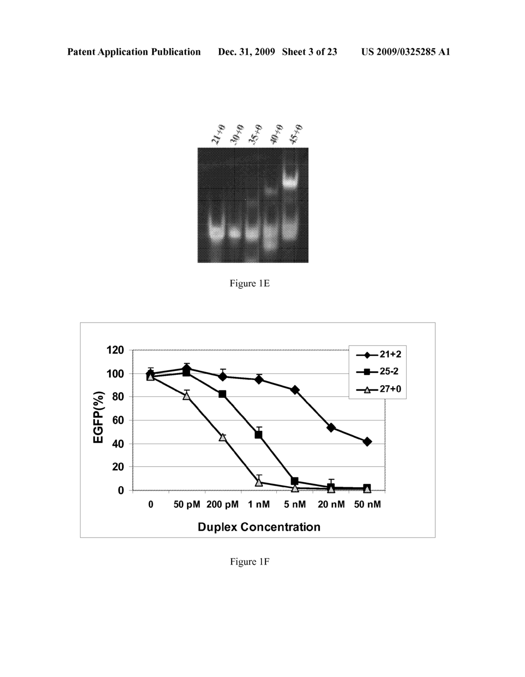 METHODS AND COMPOSITIONS FOR THE SPECIFIC INHIBITION OF GENE EXPRESSION BY DOUBLE-STRANDED RNA - diagram, schematic, and image 04