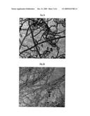 CATALYST SUPPORTS AND CARBON NANOTUBES PRODUCED THEREON diagram and image