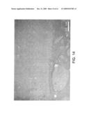 Catalyst Composition with Nanometer Crystallites for Slurry Hydrocracking diagram and image