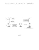 Polymer co-location in surface-attached biopolymers and arrays of biopolymers diagram and image