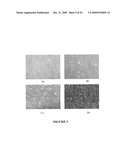 CITRIC ACID POLYMERS diagram and image