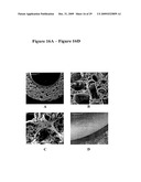 CITRIC ACID POLYMERS diagram and image