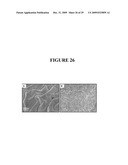 CITRIC ACID POLYMERS diagram and image