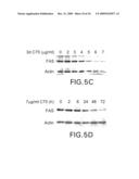 Combination Product of Receptor Tyrosine Kinase Inhibitor and Fatty Acid Synthase Inhibitor for Treating Cancer diagram and image