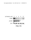 Combination Product of Receptor Tyrosine Kinase Inhibitor and Fatty Acid Synthase Inhibitor for Treating Cancer diagram and image