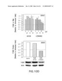 Combination Product of Receptor Tyrosine Kinase Inhibitor and Fatty Acid Synthase Inhibitor for Treating Cancer diagram and image