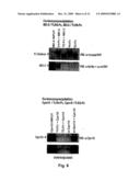 CHAPERONIN 10 MODULATION OF TOLL-LIKE RECEPTOR-INDUCIBLE CYTOKINE AND CHEMOKINE SECRETION diagram and image