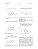 1H-INDAZOLES, BENZOTHIAZOLES, 1,2-BENZOISOXAZOLES, 1,2-BENZOISOTHIAZOLES, AND CHROMONES AND PREPARATION AND USES THEREOF diagram and image