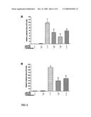 Chroman-Derived Compounds For The Treatment Of Cancer diagram and image